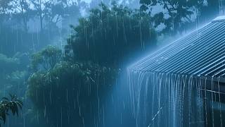 Heavy Stormy Night with Torrential Rainstorm & Very Huge Thunder ⚡⛈ Thunderstorm Sounds for Sleeping screenshot 5