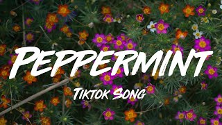 Peppermint (feat. Lexy) - Jack Stauber (Lyrics)