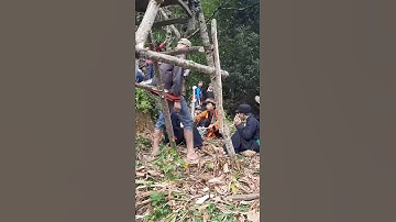 Cấp sắc dân tộc dao xã túng sán(7)