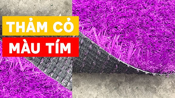 THẢM CỎ NHÂN TẠO MÀU TÍM TRANG TRÍ SÂN VƯỜN | CỎ NHÂN TẠO SG