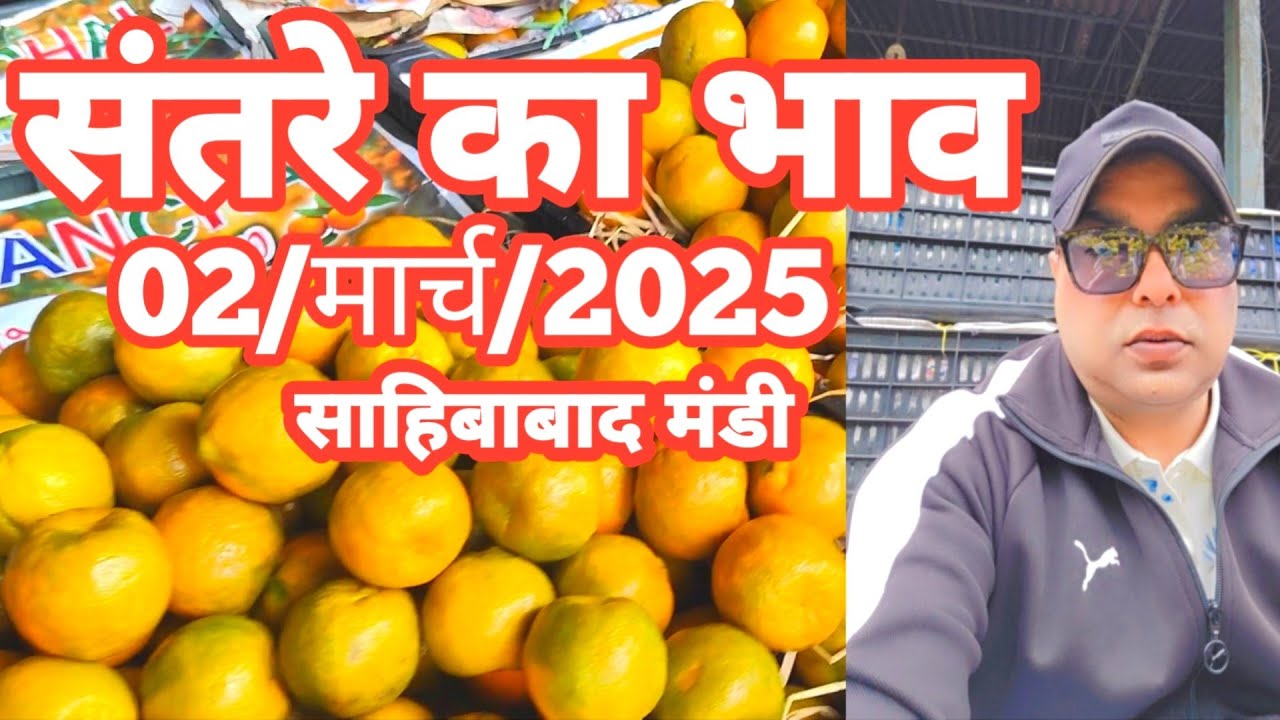 Orange Rates 02/मार्च/2025 🍊संतरे का भाव साहिबाबाद मंडी |today orange rates #angoor ...
