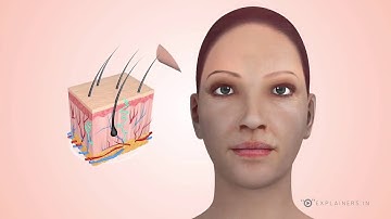 Amazing Explainer Videos | Biotex Explainer Video - Explainers.in