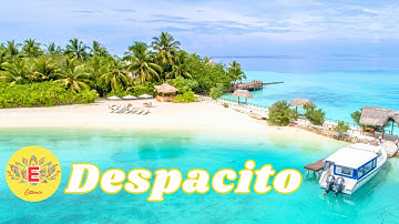 🌴 Luis Fonsi & Daddy Yankee - Despacito (Remix) [feat. Justin Bieber] 🌊