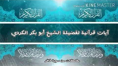 تلاوة جميلة ❤تريح النفس لفضيلة الشيخ أبو بكر الكردي