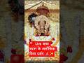 ​✨ आज के खाटू श्यामजी के लाइव दर्शन | Shree Shyam Baba ✨#shortsviral