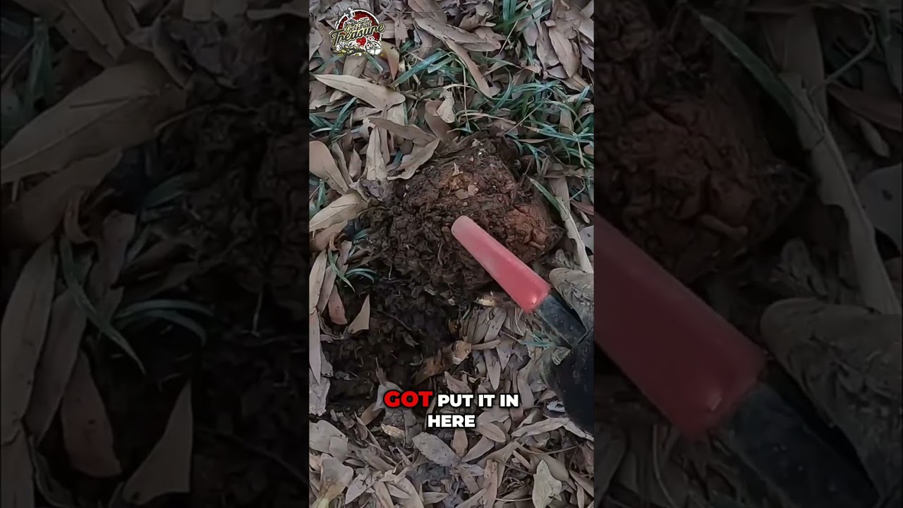 Metal Detector Finds Toy Airplane: Awesome Sidewalk Discovery! 