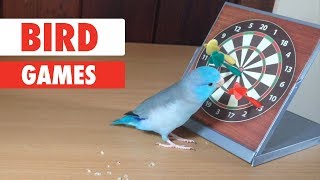 Bird Games | Smartest Birds Ever screenshot 3