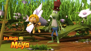 Dulces Sueños - Capítulos Completos - La Abeja Maya