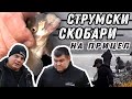 Струмски СКОБАРИ на фокус / Как да как да ги хванем в студената вода?