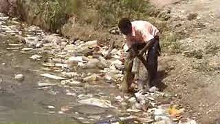 Mpulumutsi wanga  ni yesu