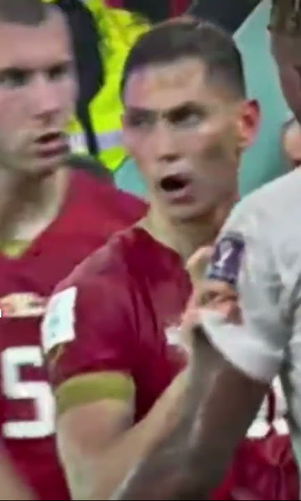 The Serbs and the Swiss team had a fight mid match. Heated moments #football #qatarworldcup2022