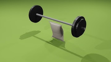 Lab 5.5 Flower sack animation Render