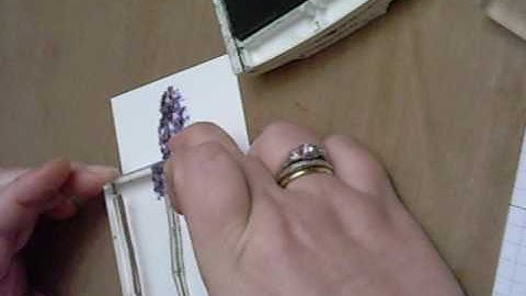 Multi Step Stamping with Kitchen Sink Stamps Multi Step Lilacs