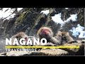 Nagano japon guide de voyage  joyeux voyage