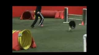 Klink CSA Snooker