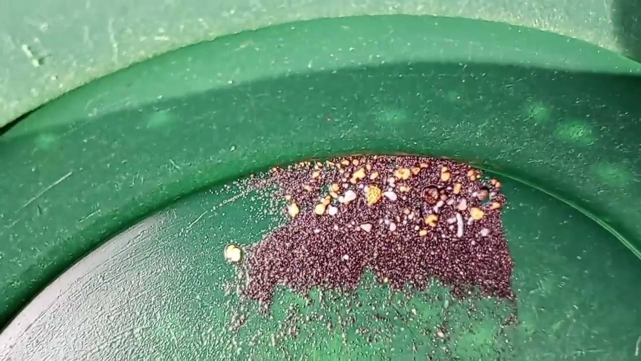 Самородно злато, планински поток /native gold mountain stream