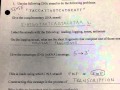 DNA and RNA Processes Quiz
