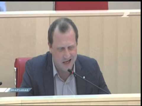 ზურაბ ჯაფარიძე \"ქართული ოცნების\" ამომრჩეველზე