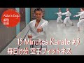 15 Minutes Karate #5  毎日15分 空手フィットネス 【Akita's Karate Video】   HD 1080p