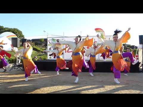 よさこい連「わ」　広陵フェス 2018　②