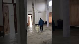 Kachanu Toh Kainneipi Toh Devotion