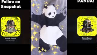 Snapchat Panda Update