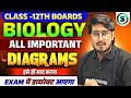 Biology Class 12 Important Diagrams 2026 | Class 12 Biology All Important Diagrams | SR Rajan Sir