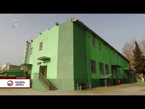 შეწყალება, როგორც ჰუმანური აქტი, თუ გადაწყვეტილება პოლიტიკური მიზნებით