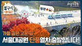 서울대공원 L 방구석 서울대공원 - Youtube