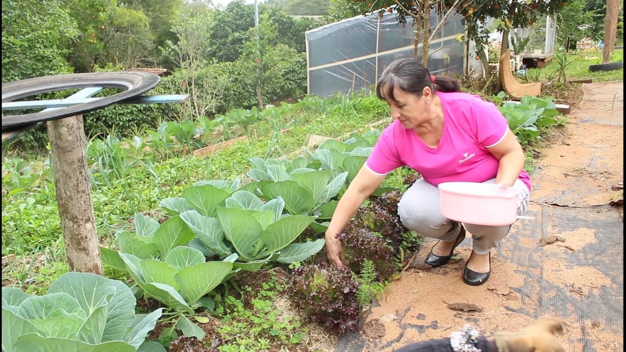 PEIXINHO DA HORTA FRITO