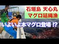 石垣島 天心丸 本マグロ延縄漁 2021.5 ダイジェスト前編【4K】