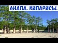 Показали сыну кипарисовое озеро. Сукко. Анапа.