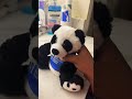 Plushasdfmovie