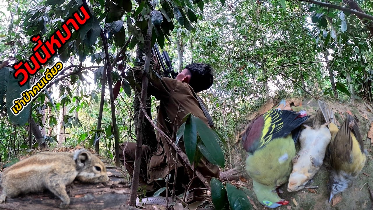 ເຂົ້າປ່າຄົນດຽວຫມານໆ//เข้าป่าคนเดียวหมานๆ24 กุมภาพันธ์ ค.ศ. 2025