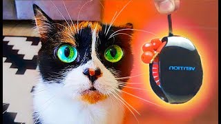 ВОТ ЧТО МЫ КУПИЛИ НА ALIEXPRESS! screenshot 4