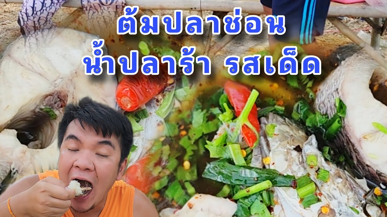 ปลาช่อนต้มน้ำปลาร้า รสเด็ด (ปลาช่อนนา)
