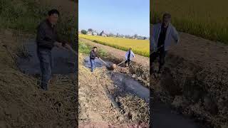 New Tricks with Old Tools: Rope + Pot = Efficient Irrigation?
