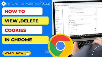 How to View Cookies in Chrome | How to View and Delete Cookies in Chrome?
