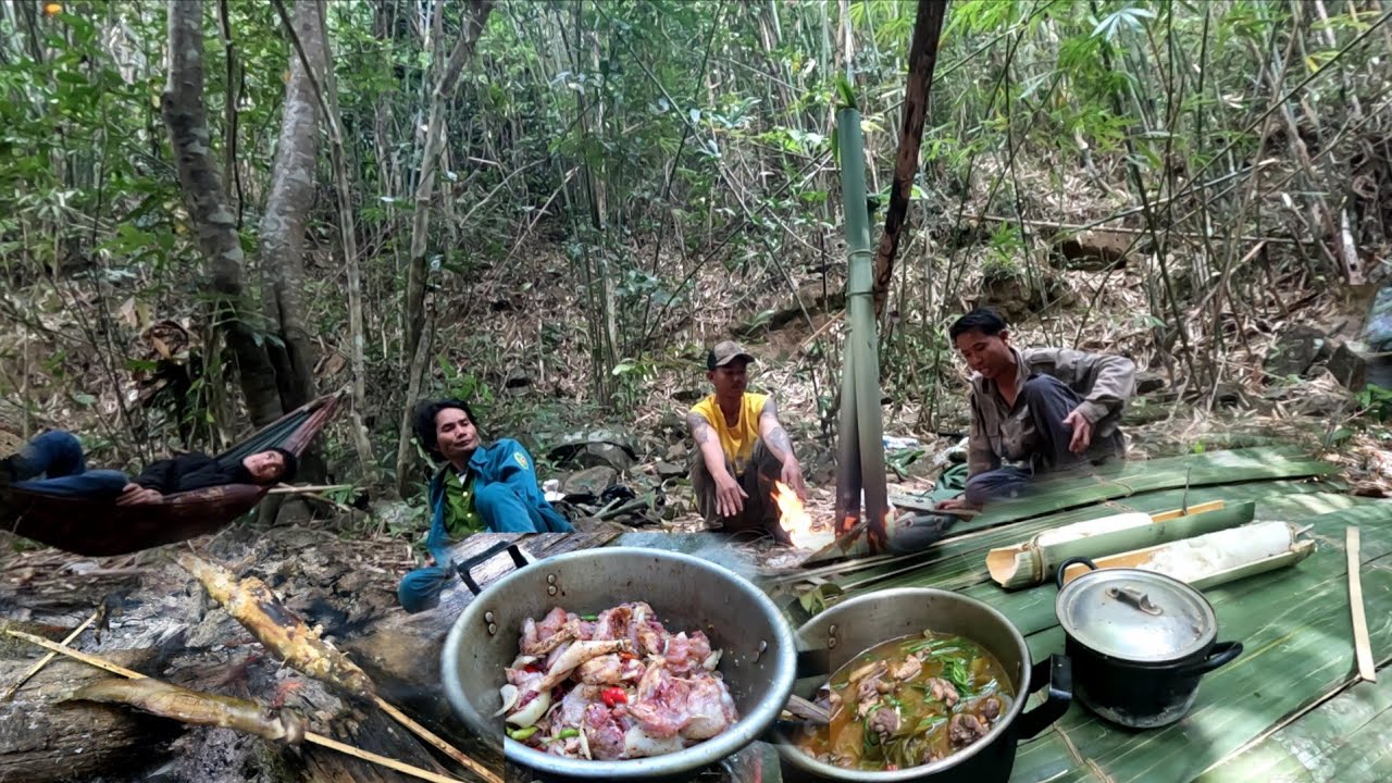 12 กุมภาพันธ์ ค.ศ. 2026.ພົກນົກກິນຫມາກໄຮ.ເເກງໄກ່ປ່າ//ดักนกกินหมากไฮ.เเกงไก่ป่า.