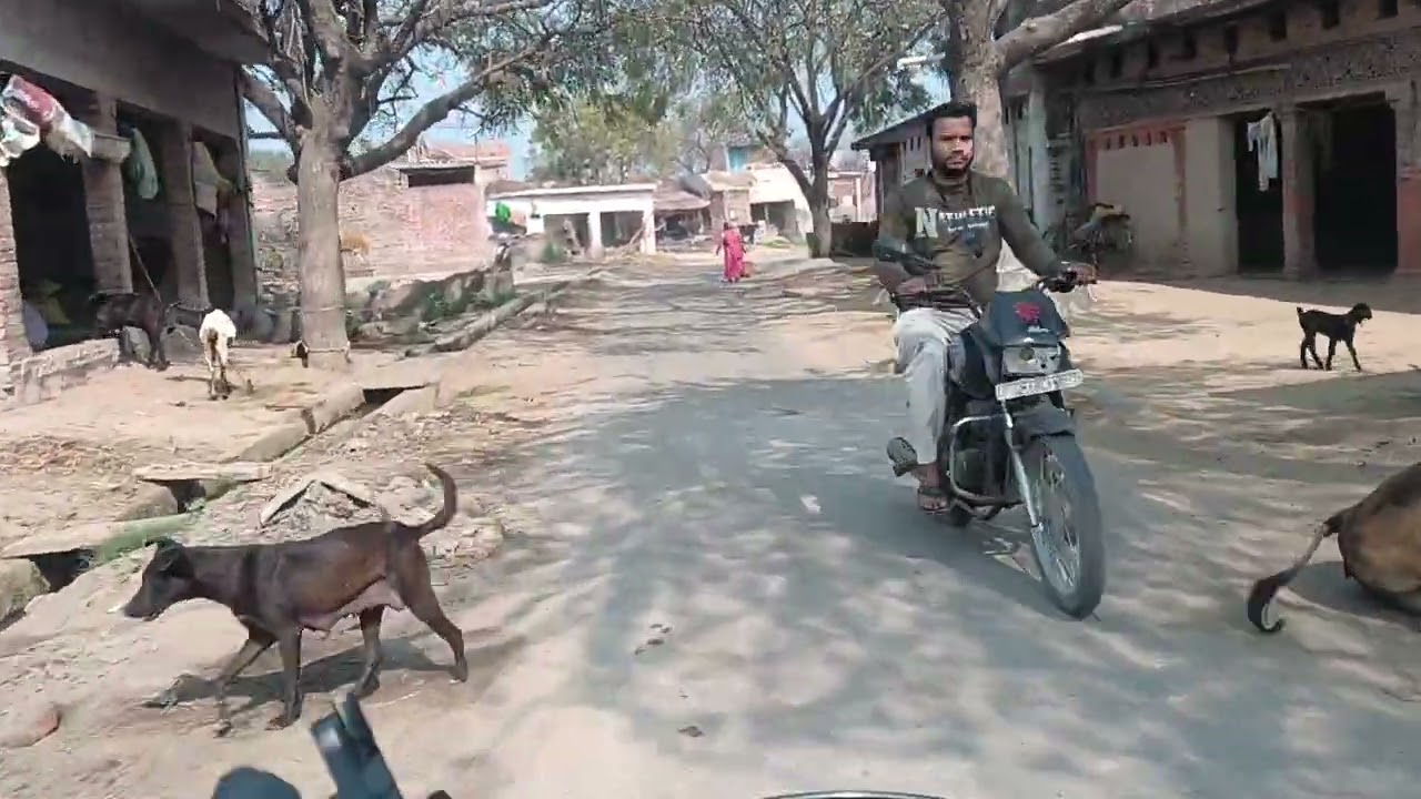 Kaha agya bhai mai 🤟🤪