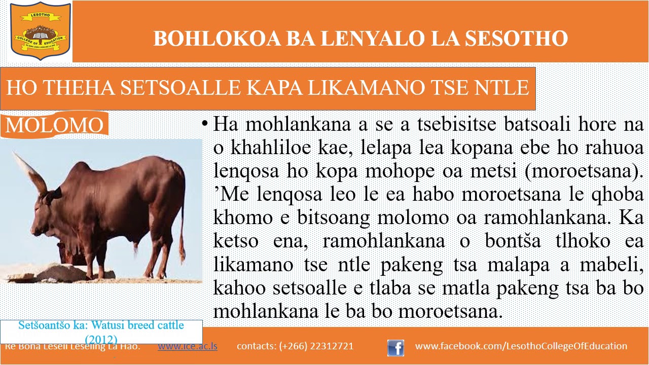 meaning of presentation in sesotho