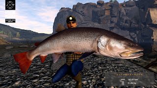 【釣りゲー】新マップのモンゴルで巨大なタイメン(アムールイトウ)に挑む！後編 「フィッシングプラネット」(Fishing planet ) LIVE screenshot 3