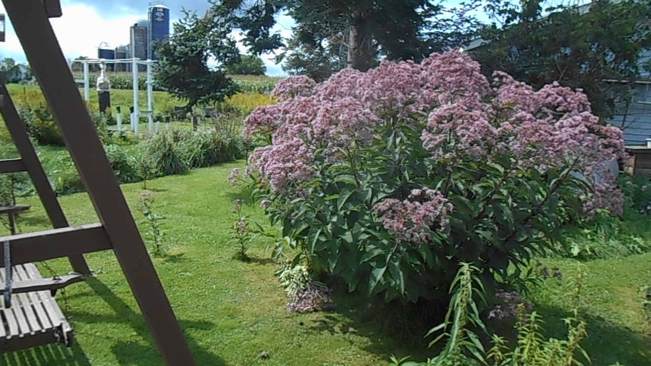 Monarch Wildlife Wayside Refuge - MWWR