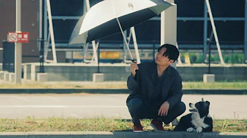 تحميل 星野源koi تحميل 星野源koi