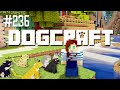 Cat Ninja | Dogcraft (Ep.236)