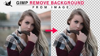 How to remove background in gimp | Gimp remove background from image | Gimp tutorial in hindi screenshot 4