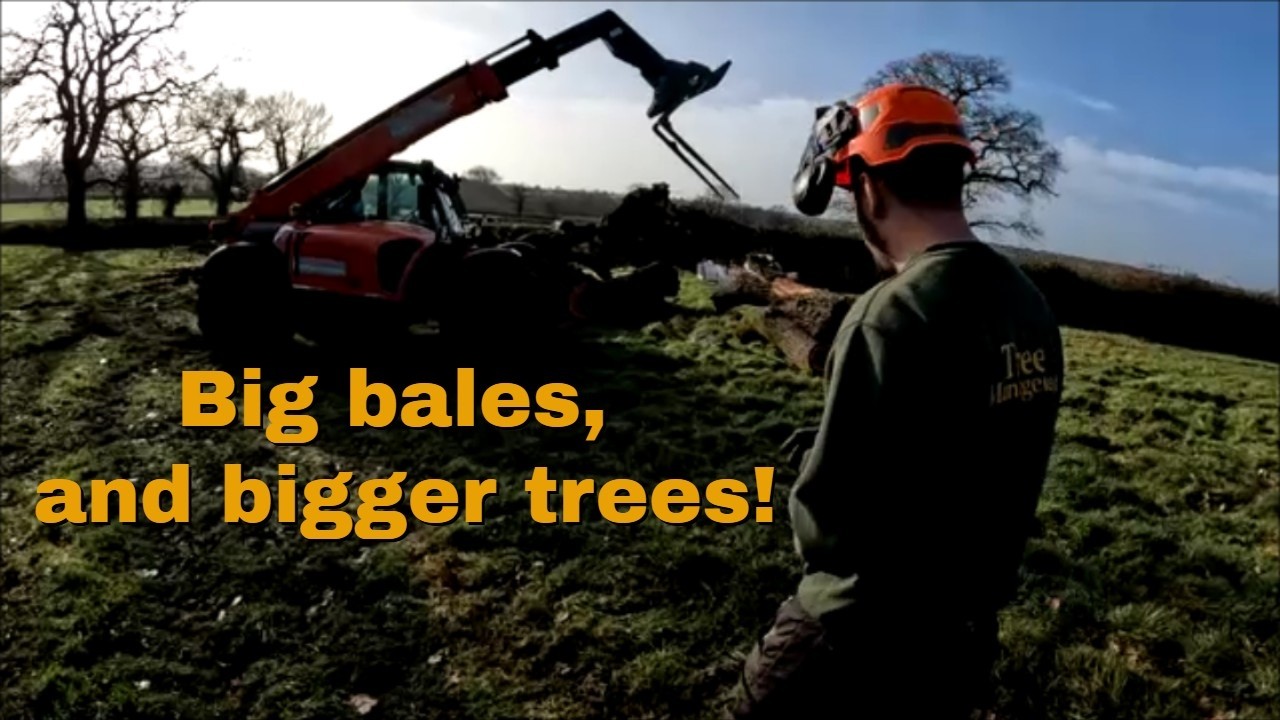 30/01/26  Big bales and bigger trees!