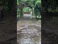 Rain Drops in Front of the Lens 🌧️ Calm Nature Walk Vibes #shorts