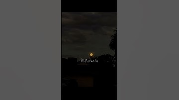 خلق السماوات بغير عمد ترونها|سورة لقمان|من الآية ٨-١٠#ياسر_الدوسري#قرآن #اكتب_شي_توجر_عليه#اكسبلور