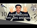 10 expressions francaises avec des animaux apprendre le franais avec du vocabulaire